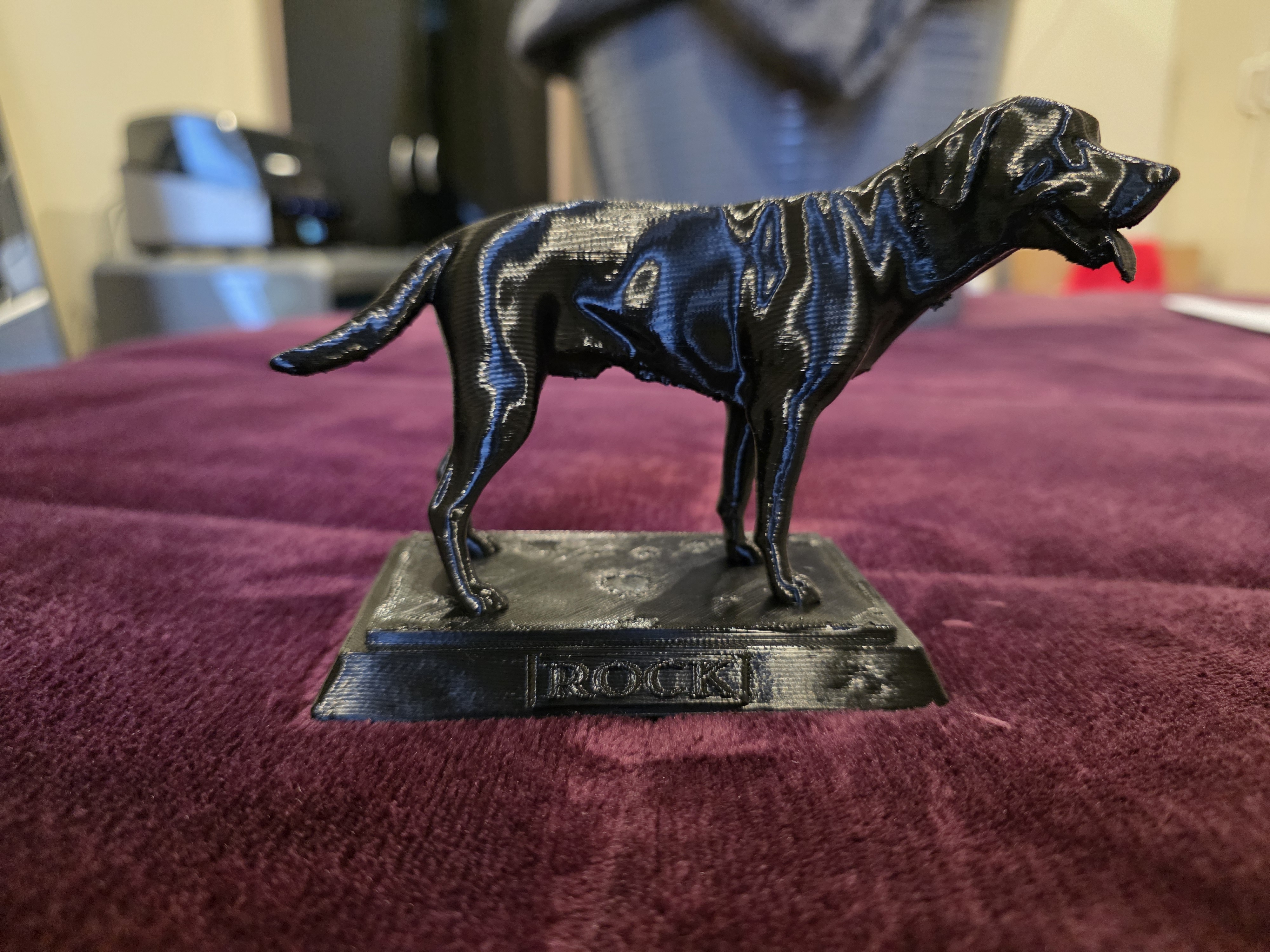 Dog