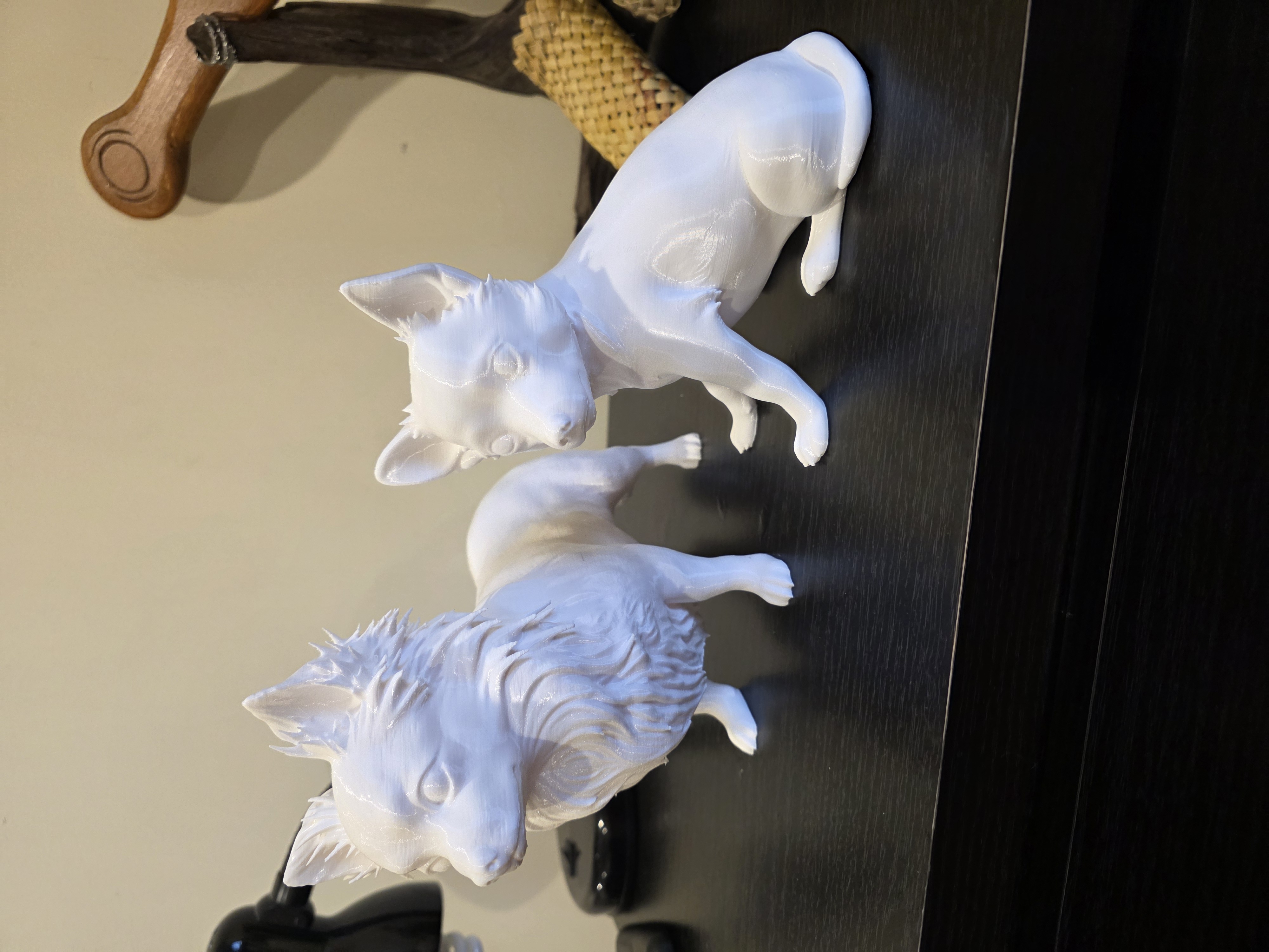 Dogs