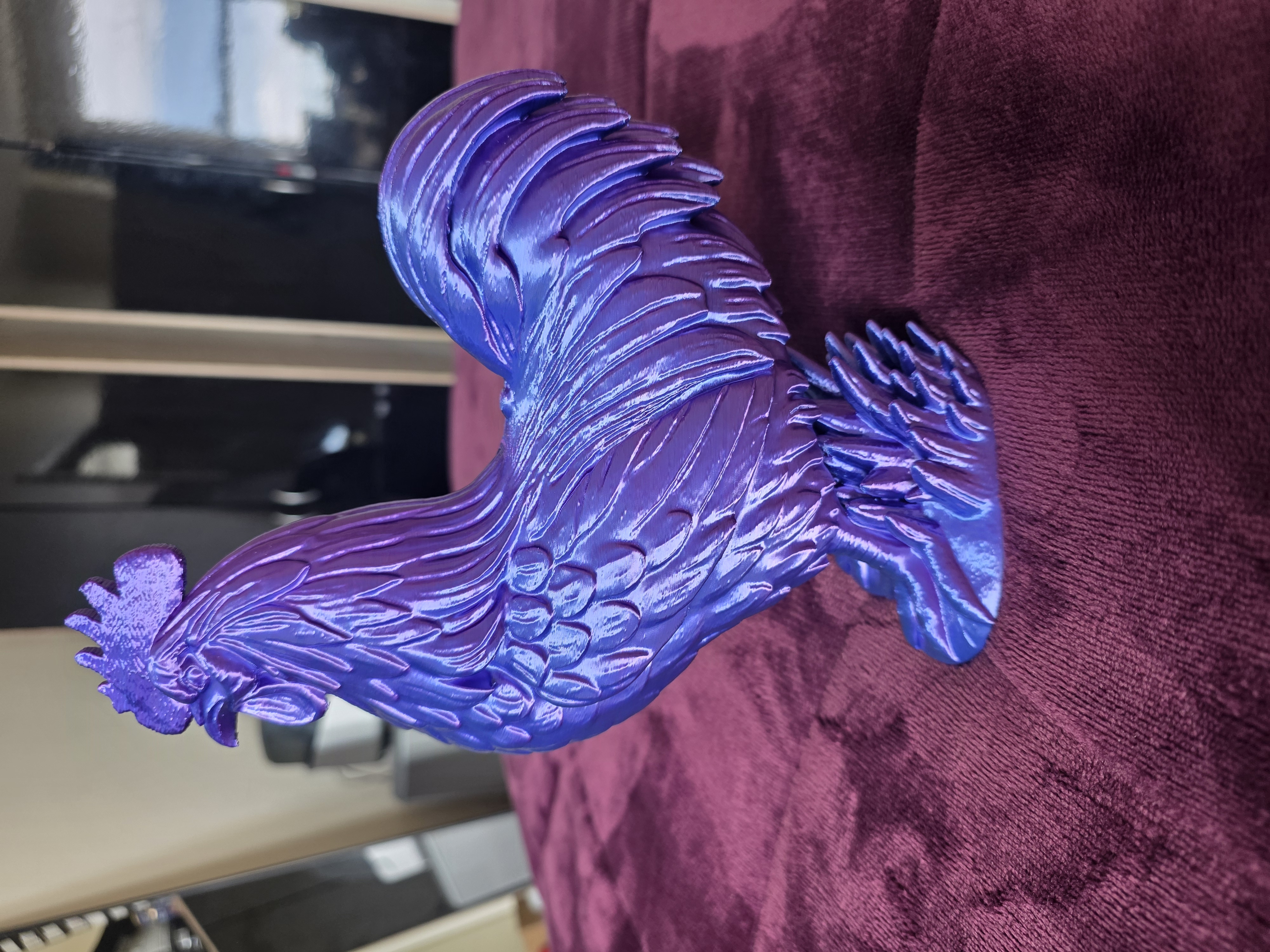 Rooster